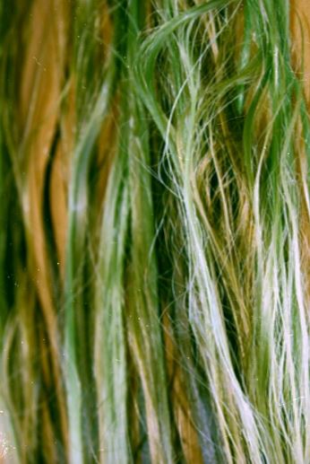 Hair Turned Green from Swimming