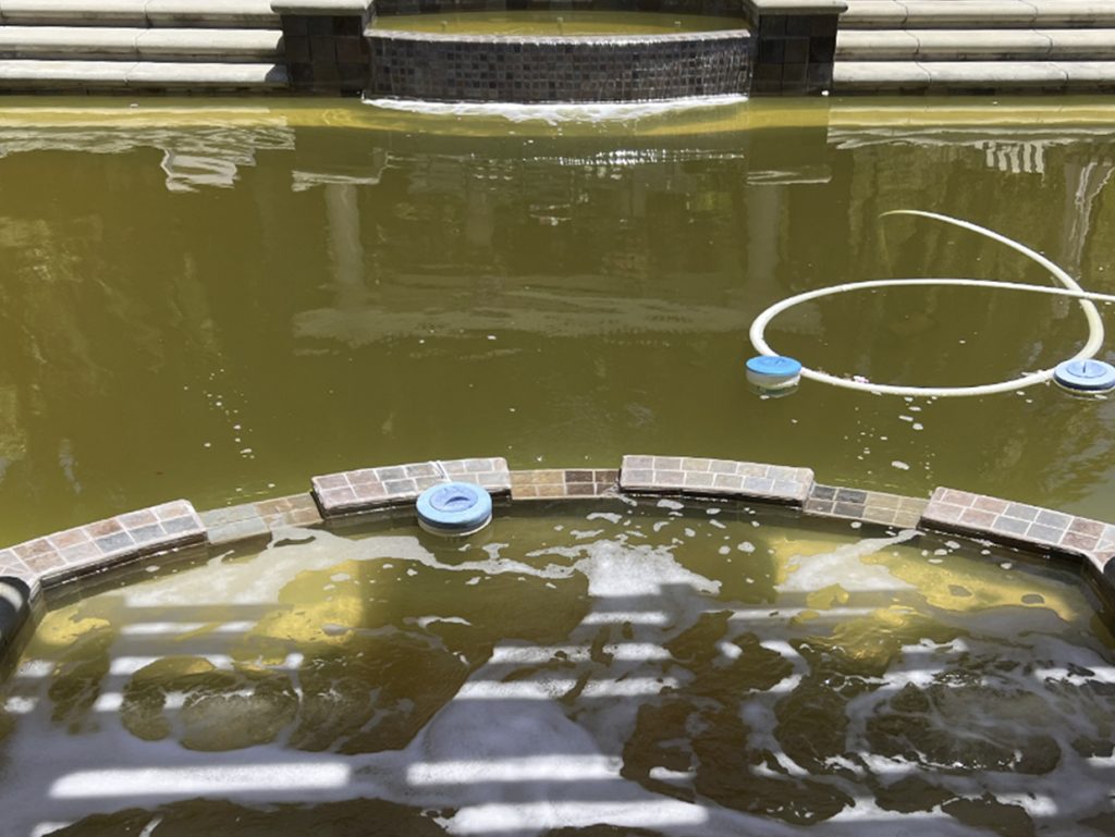 Brown Pool Water Before Treatment with Super Metal Stain Eliminator Kit