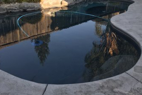 Help! My pool water is clear black